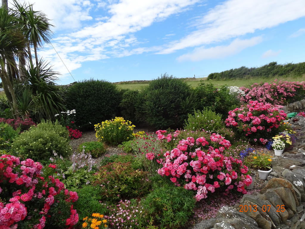 Atlantic View B&B Liscannor Dış mekan fotoğraf